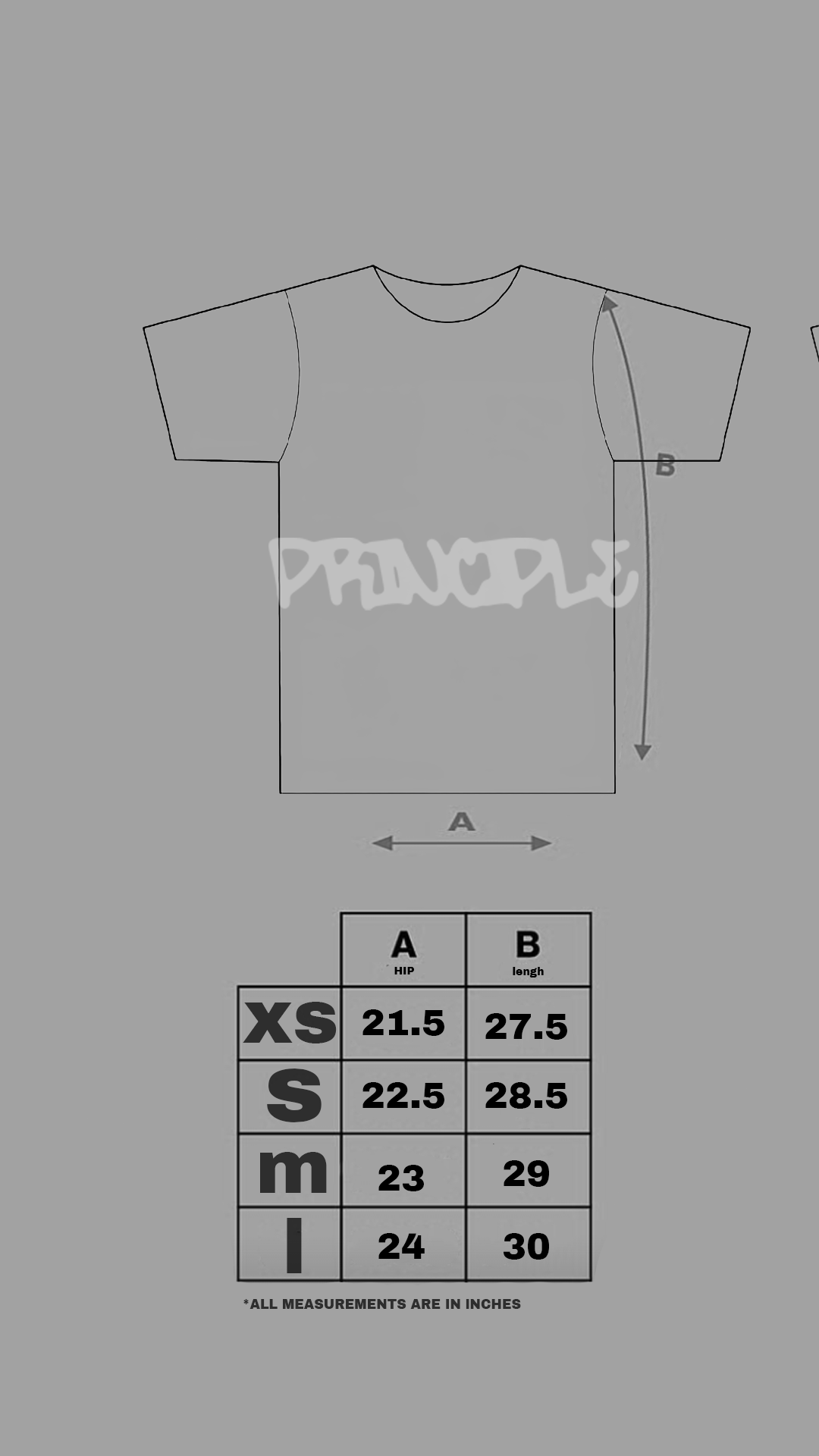 PRINCIPLE SCRIPT BLACKOUT SHIRT