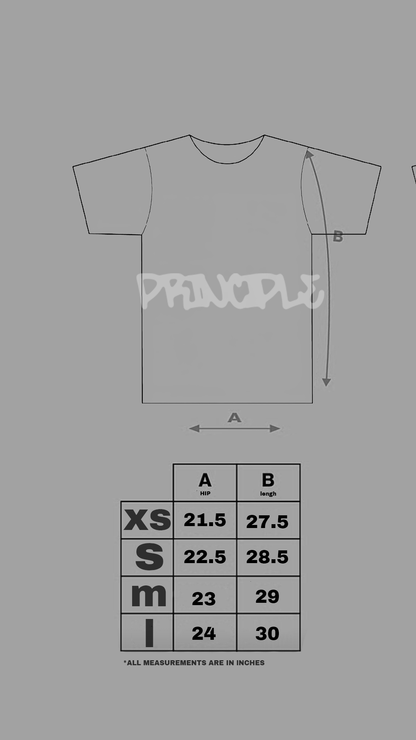 PRINCIPLE SCRIPT BLACKOUT SHIRT